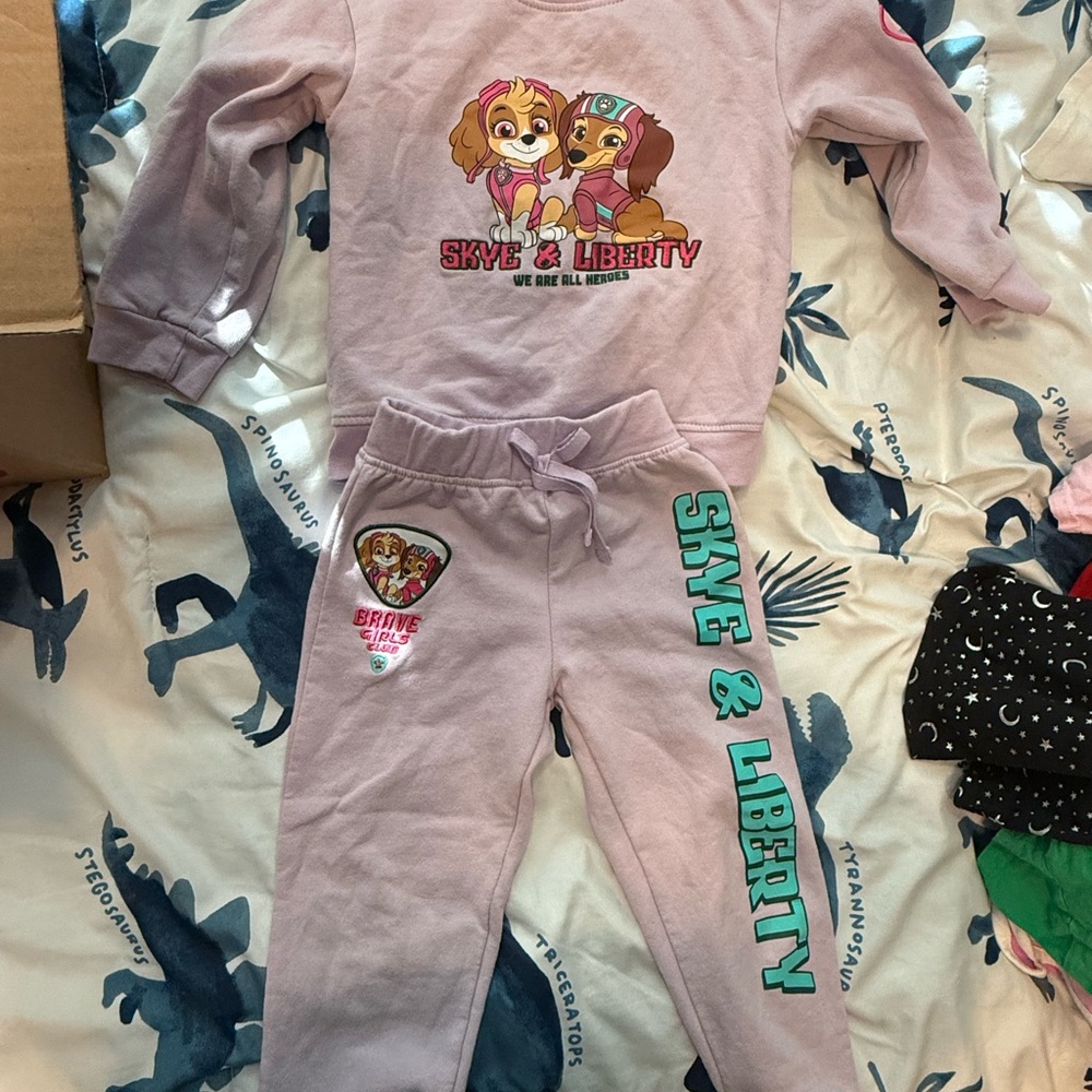 Nickelodeon Pink Paw Patrol Kids set
